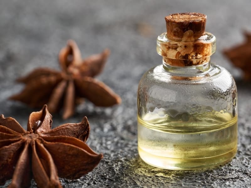 IRRESISTIBLE SCENTS