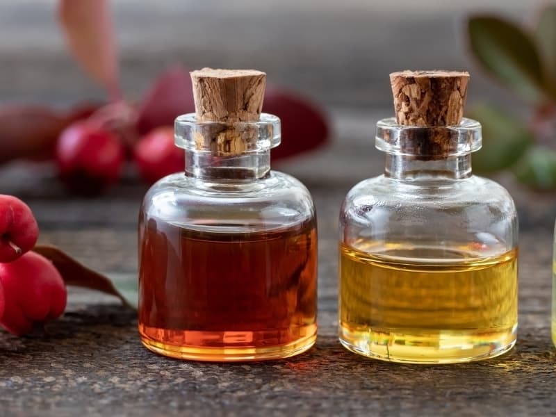 IRRESISTIBLE SCENTS MAX